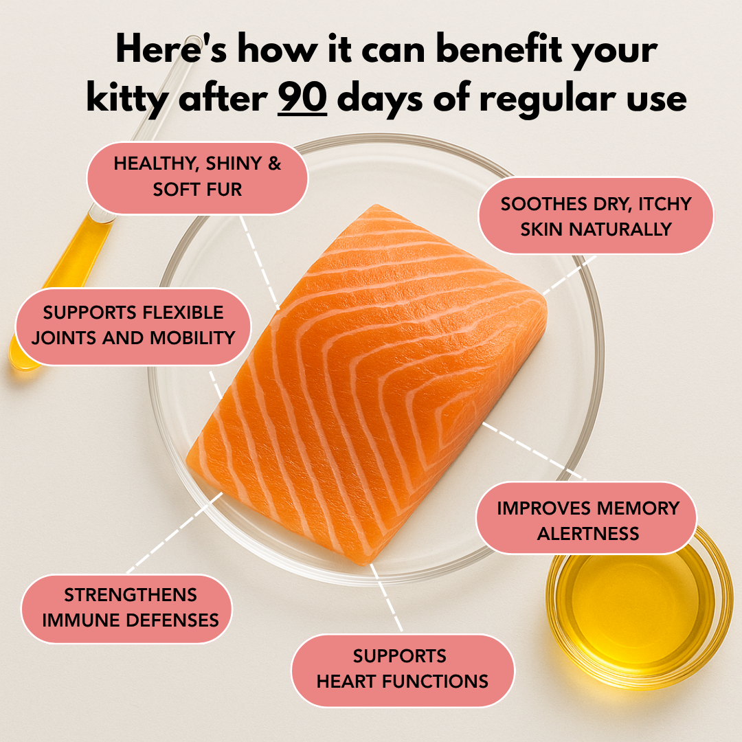 Pure Omega 3 Salmon Oil (For Cats)