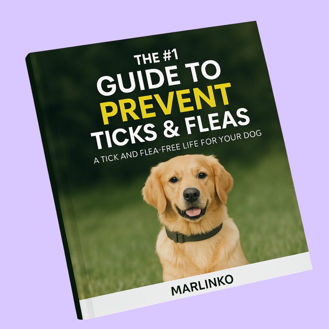 Guide To Prevent Ticks & Fleas