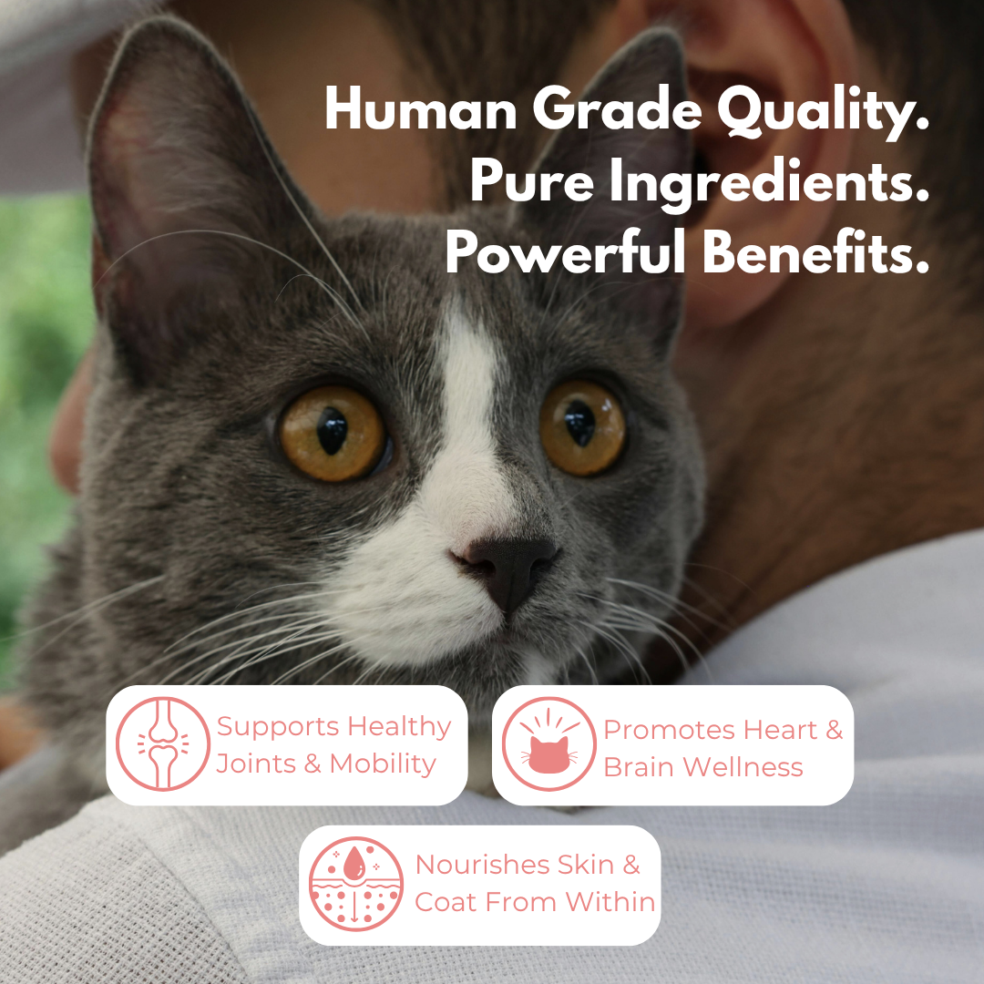 Pure Omega 3 Salmon Oil (For Cats)