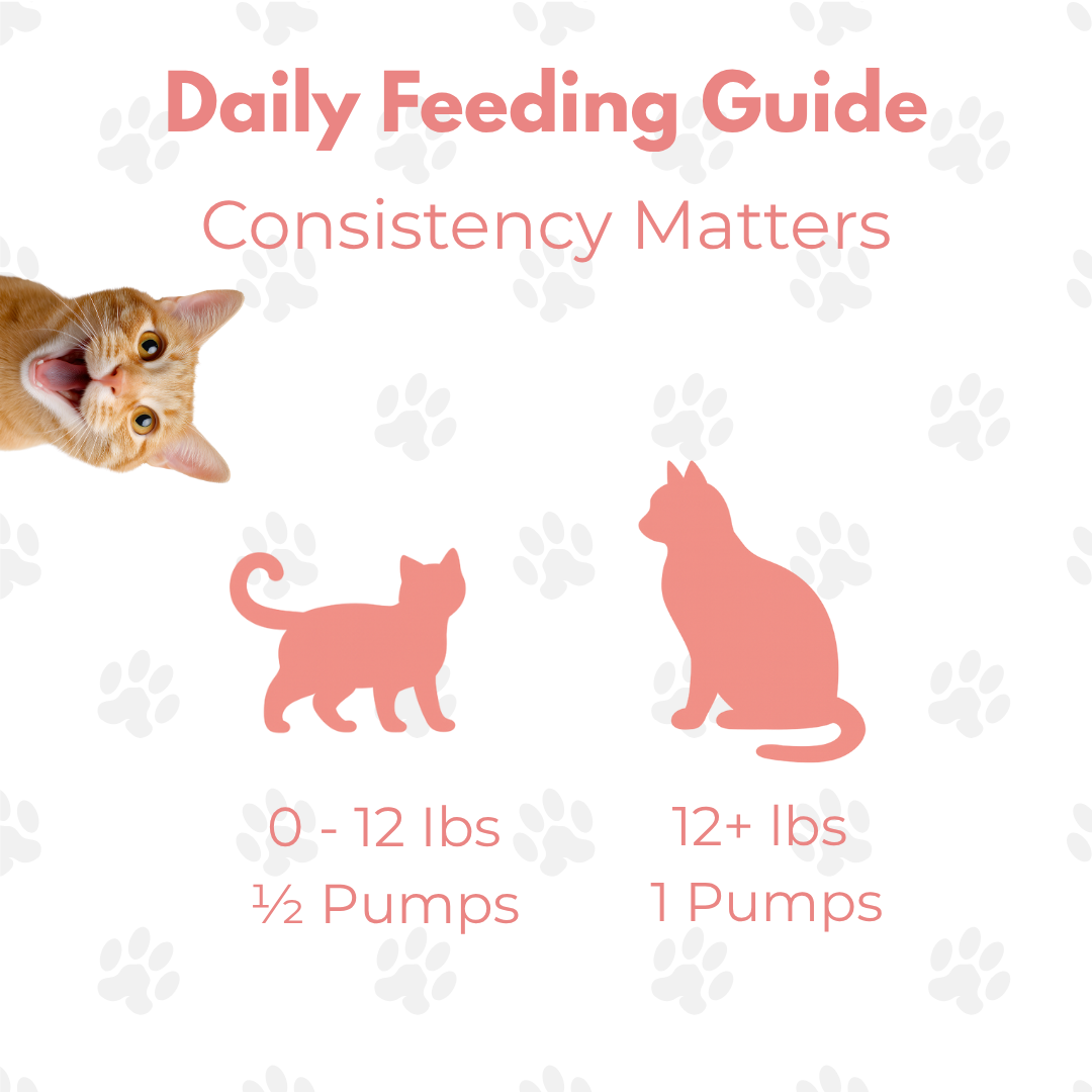 Pure Omega 3 Salmon Oil (For Cats)
