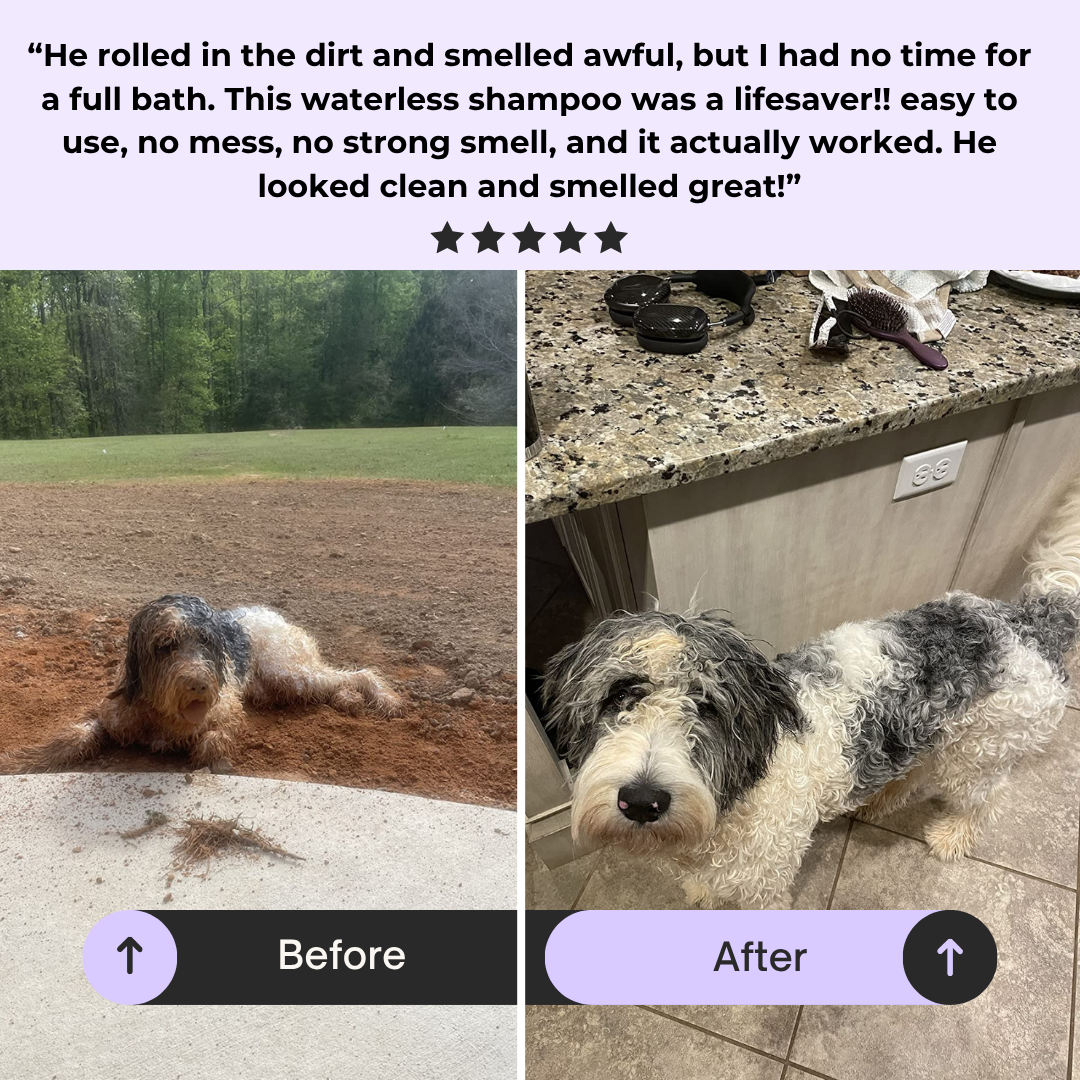 Dog Waterless Shampoo