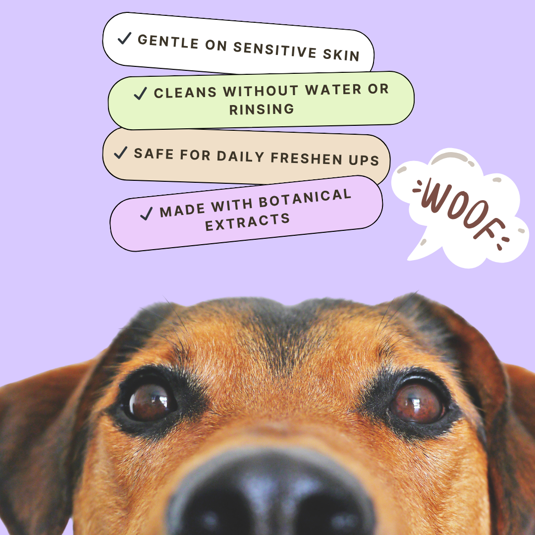 Dog Waterless Shampoo