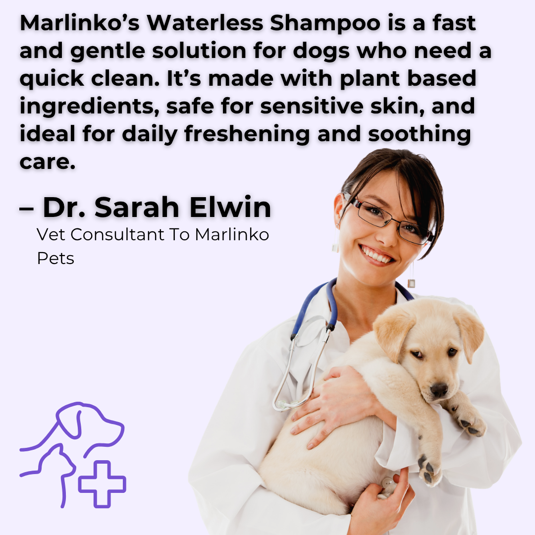 Dog Waterless Shampoo