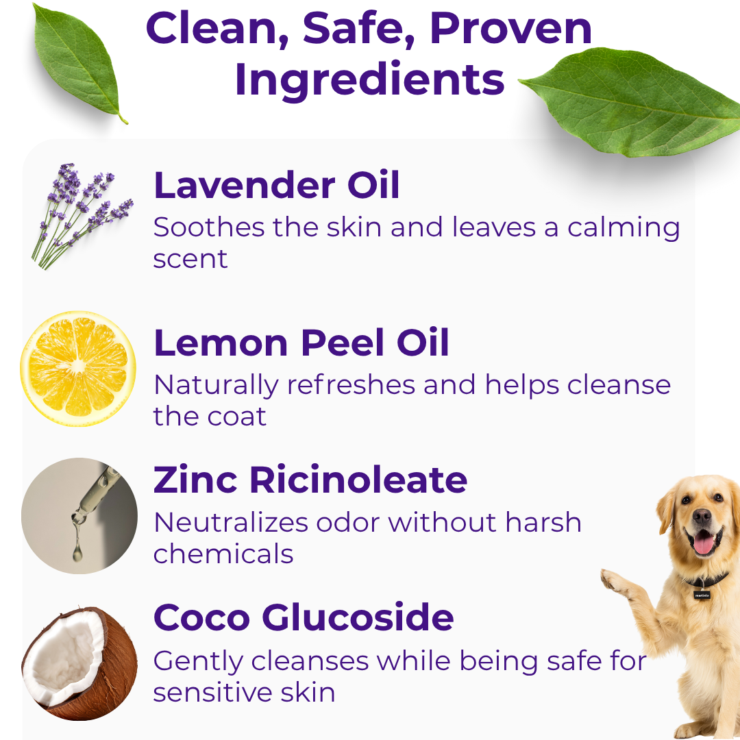 Dog Waterless Shampoo