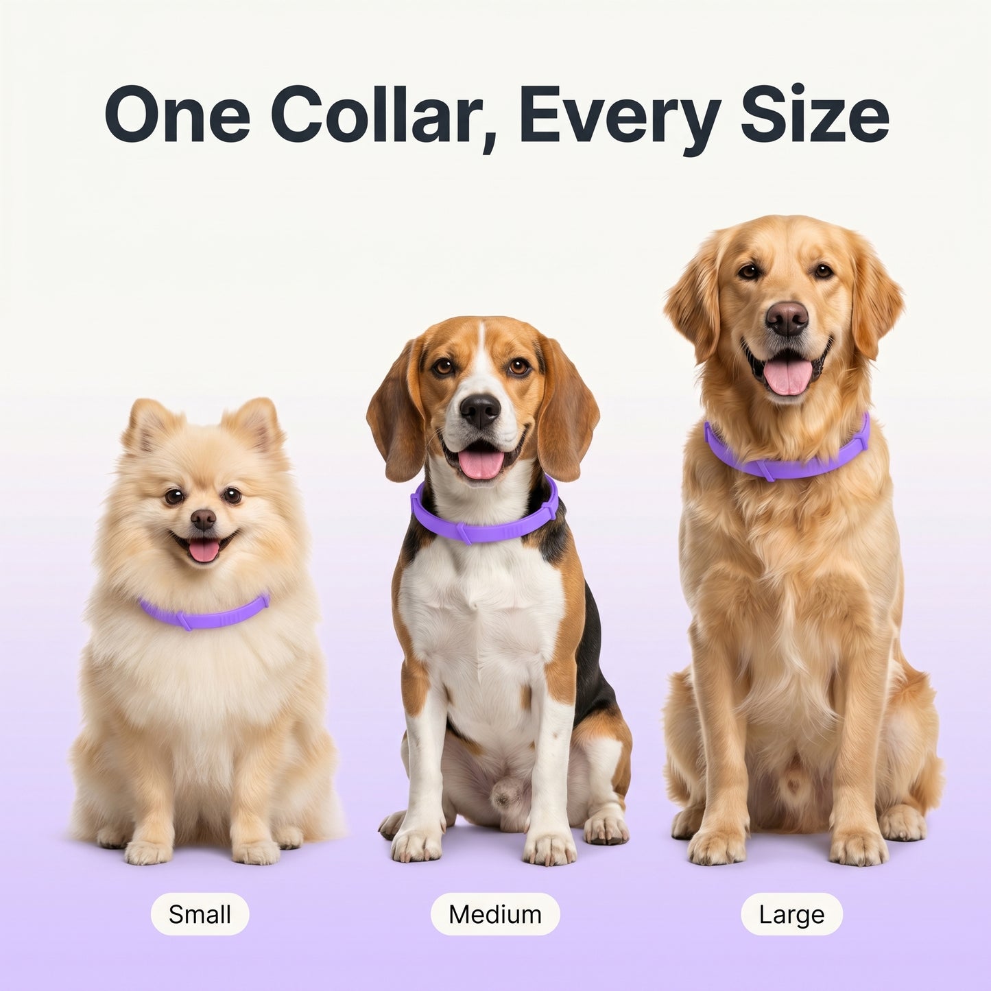 SUB - Marlinko Pets™ - All Natural Protection (8 Months Tick and Flea Collar for Dogs) (Copy)