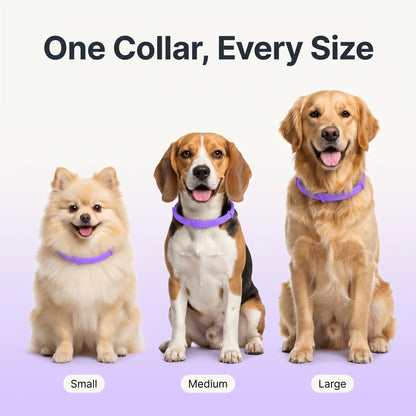 SUB - Marlinko Pets™ - All Natural Protection (8 Months Tick and Flea Collar for Dogs) (Copy)