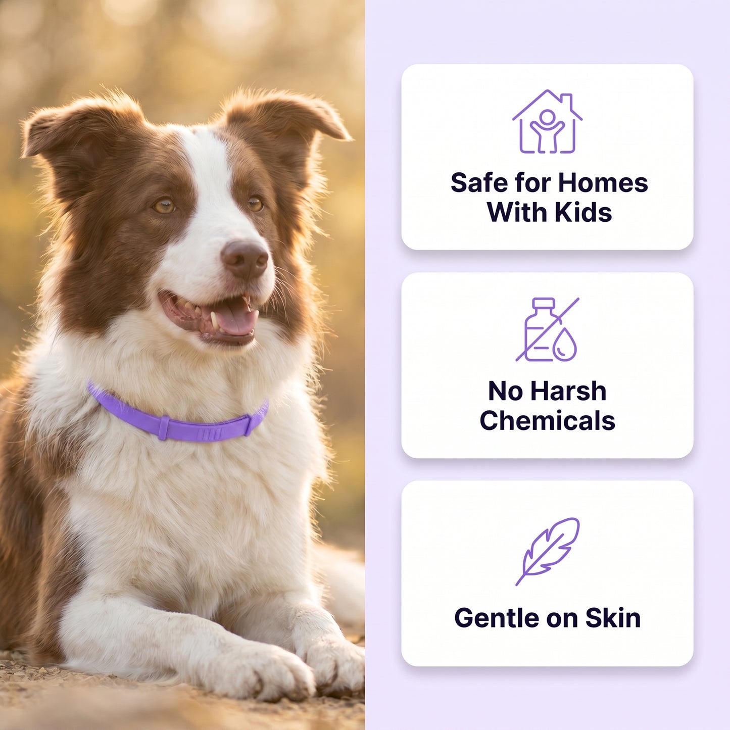 SUB - Marlinko Pets™ - All Natural Protection (8 Months Tick and Flea Collar for Dogs) (Copy)