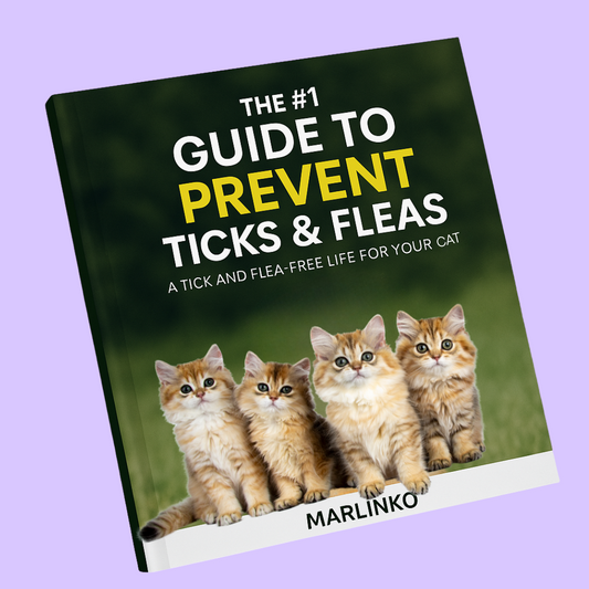 Guide To Prevent Ticks & Fleas (Cats)