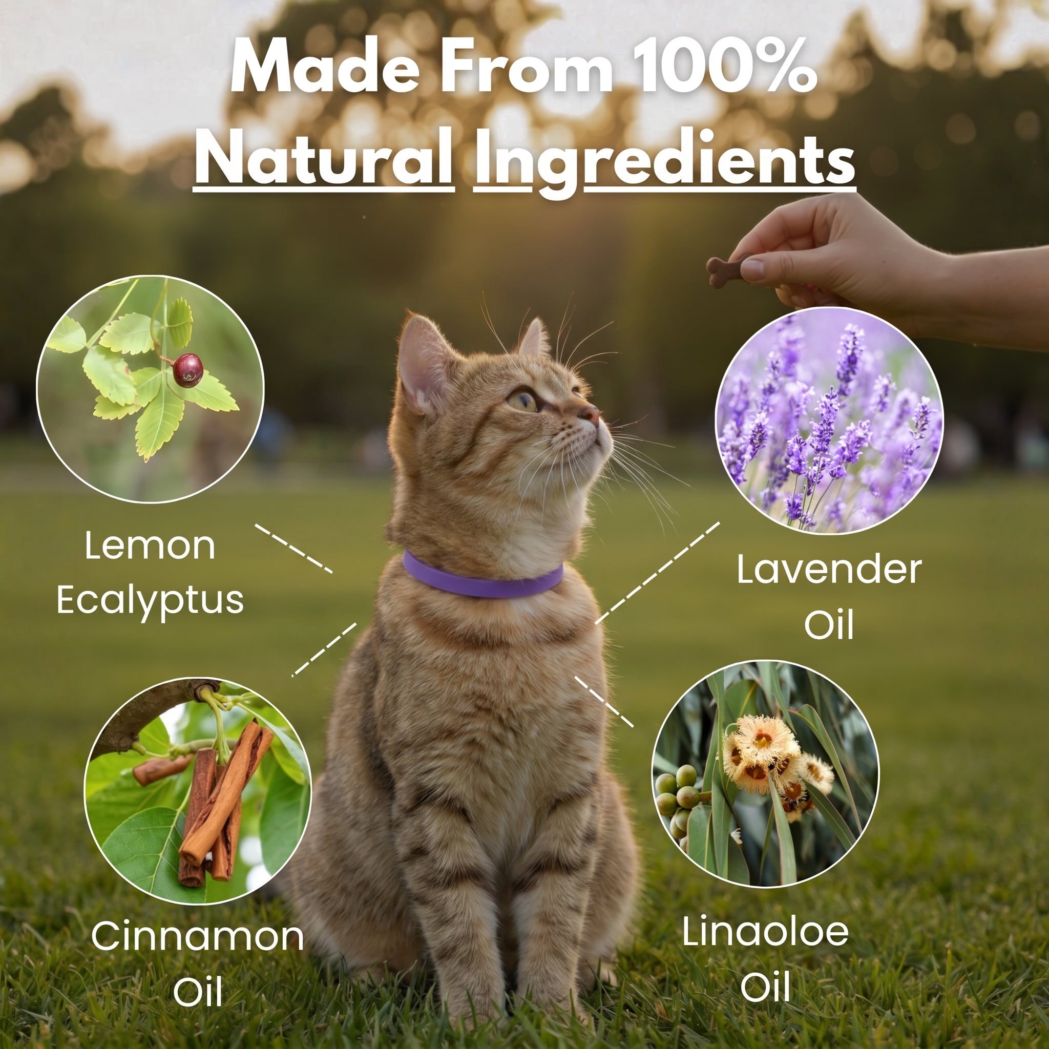 Marlinko Pets™ - All Natural Calming Cat Collar (8 Months Tick & Flea Free)