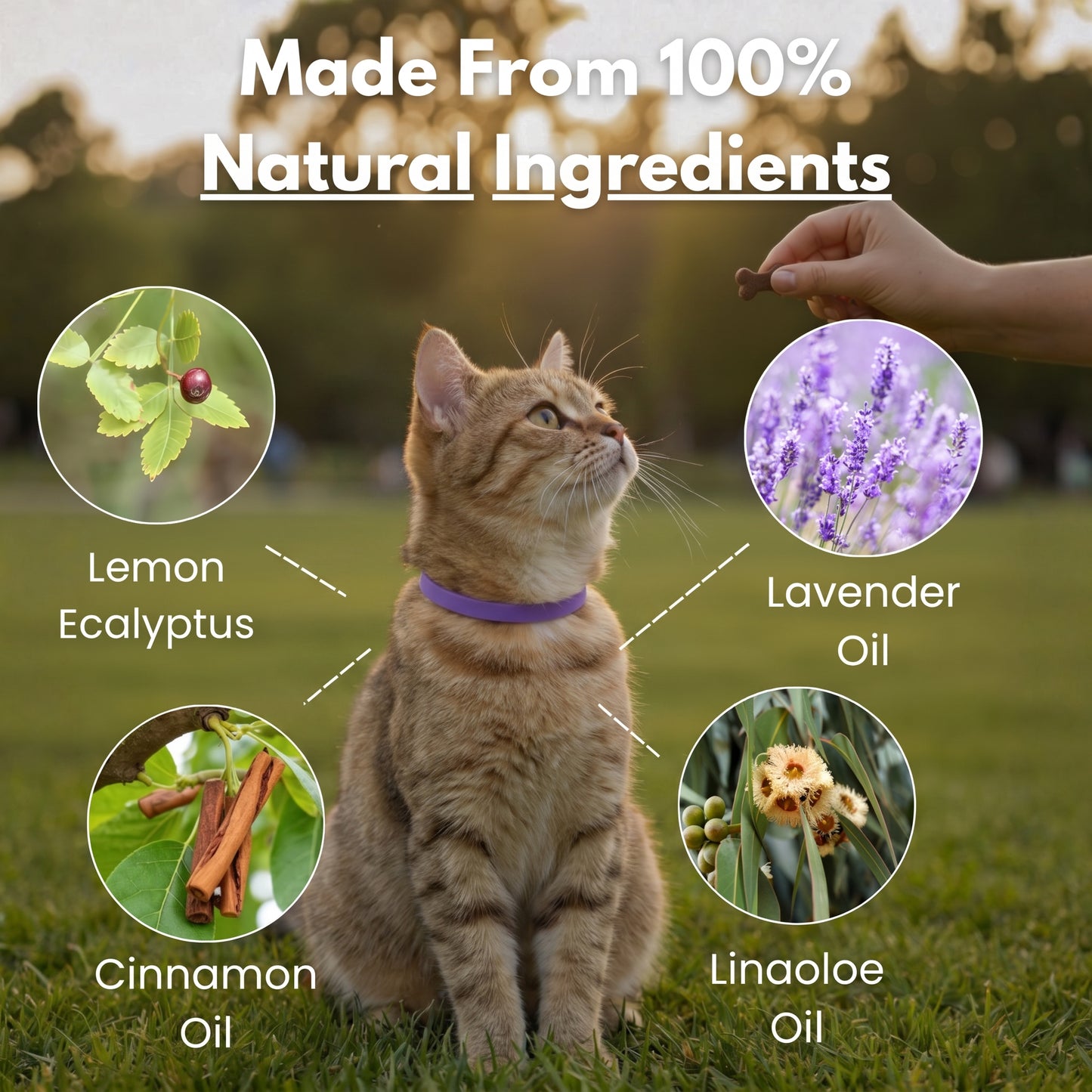 Marlinko Pets™ - All Natural Calming Cat Collar (8 Months Tick & Flea Free)