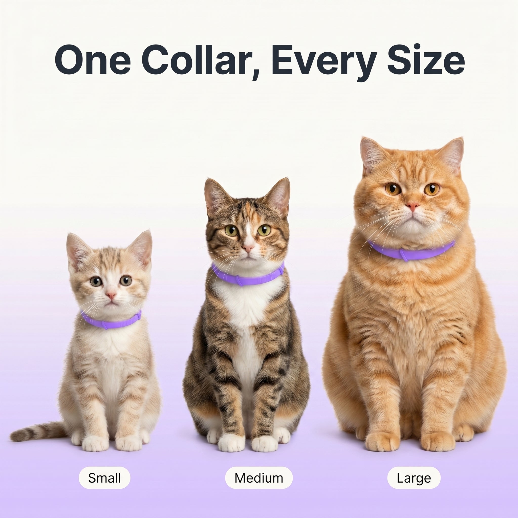 Marlinko Pets™ - All Natural Calming Cat Collar (8 Months Tick & Flea Free)