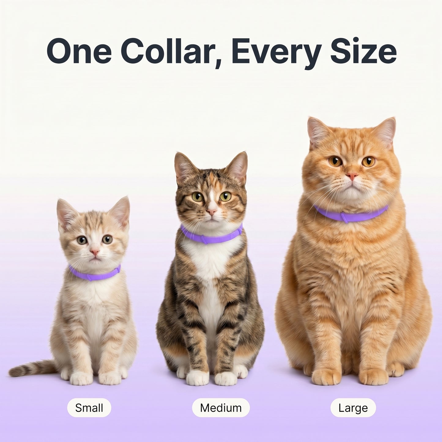 Marlinko Pets™ - All Natural Calming Cat Collar (8 Months Tick & Flea Free)