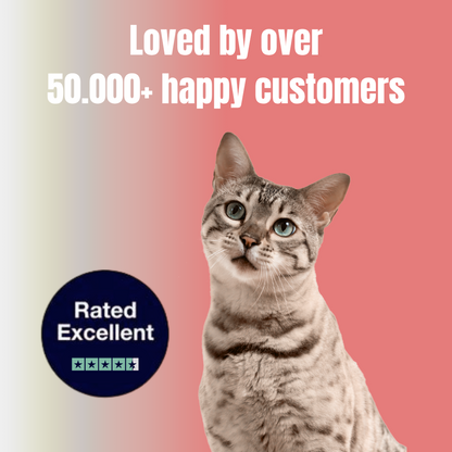 Marlinko Pets™ - Natural Calming Cat Collar (8 Months Tick & Flea Free)
