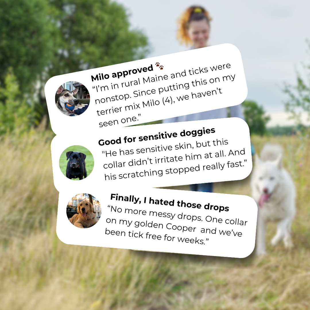 Marlinko Pets™ - Natural Protection (8 Months Tick and Flea Collar for Dogs)