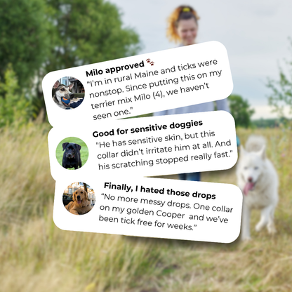 Marlinko Pets™ - Natural Protection (8 Months Tick and Flea Collar for Dogs)