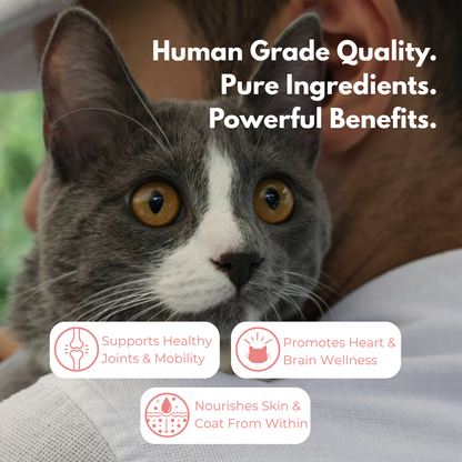 Pure Omega 3 Salmon Oil (For Cats)