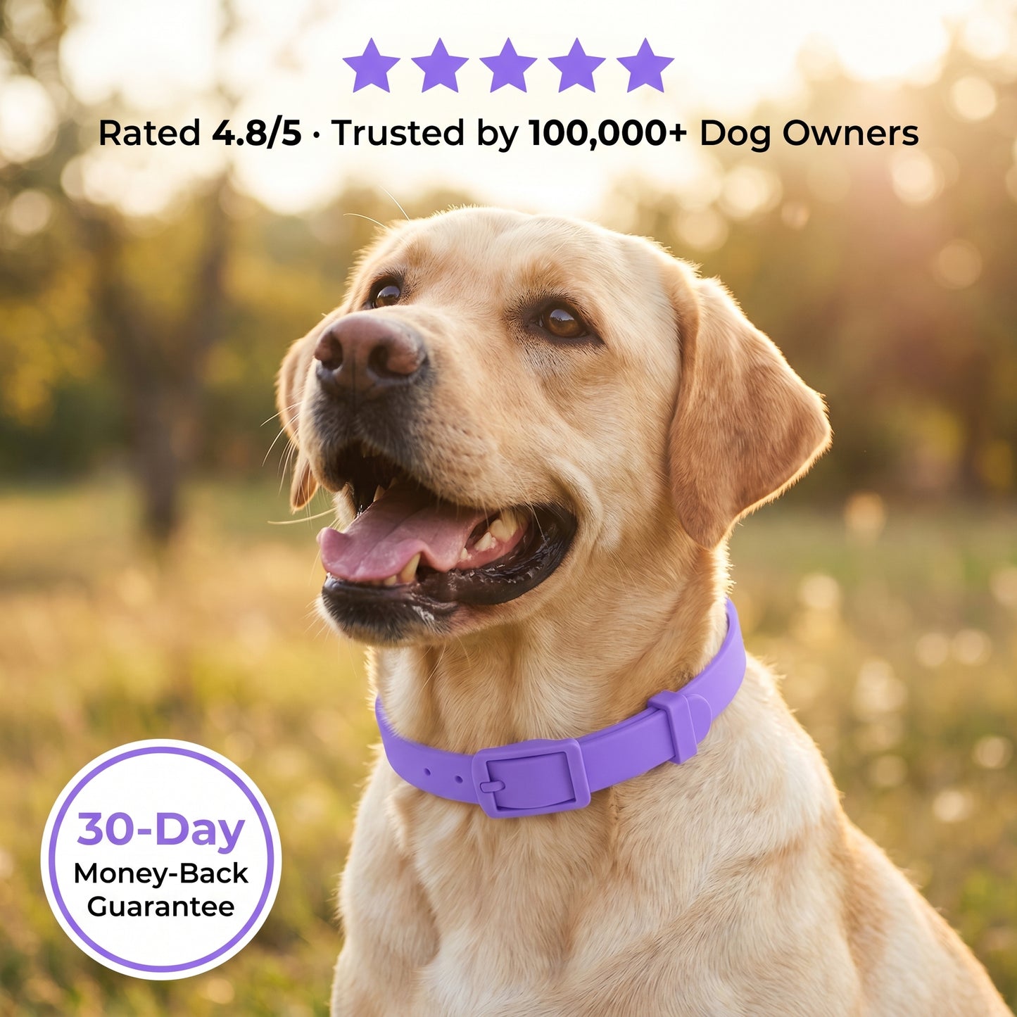 SUB - Marlinko Pets™ - All Natural Protection (8 Months Tick and Flea Collar for Dogs) (Copy)
