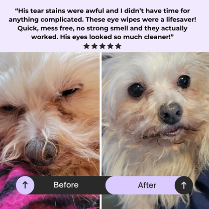 Dog Eye Cleaner Wipes (100 Soft Wipes)
