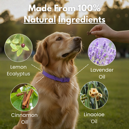Marlinko Pets™ - Natural Protection (8 Months Tick and Flea Collar for Dogs)