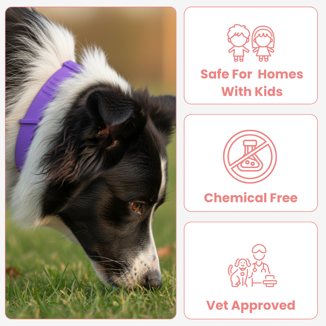 Marlinko Pets™ - Natural Protection (8 Months Tick and Flea Collar for Dogs)