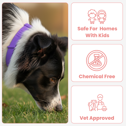 Marlinko Pets™ - Natural Protection (8 Months Tick and Flea Collar for Dogs)