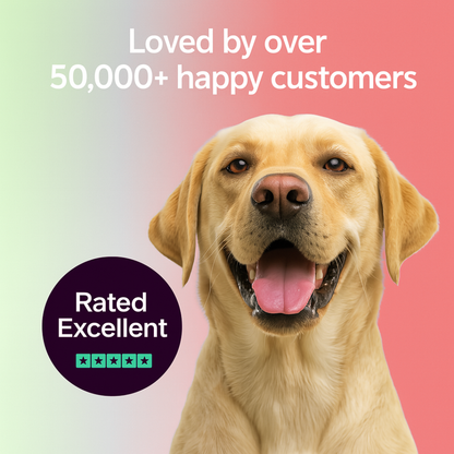 Marlinko Pets™ - Natural Protection (8 Months Tick and Flea Collar for Dogs)