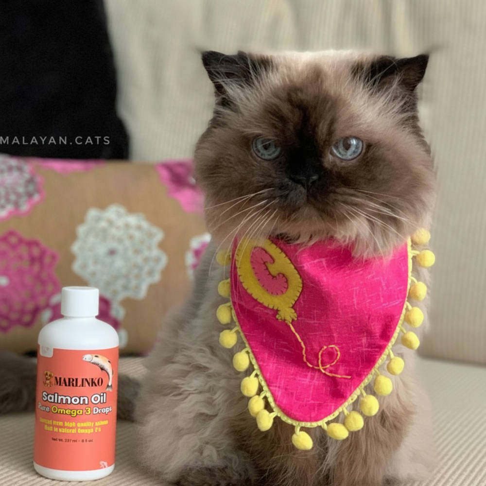 <h2>🌎 Join the community of happy paws worldwide 🐾</h2>