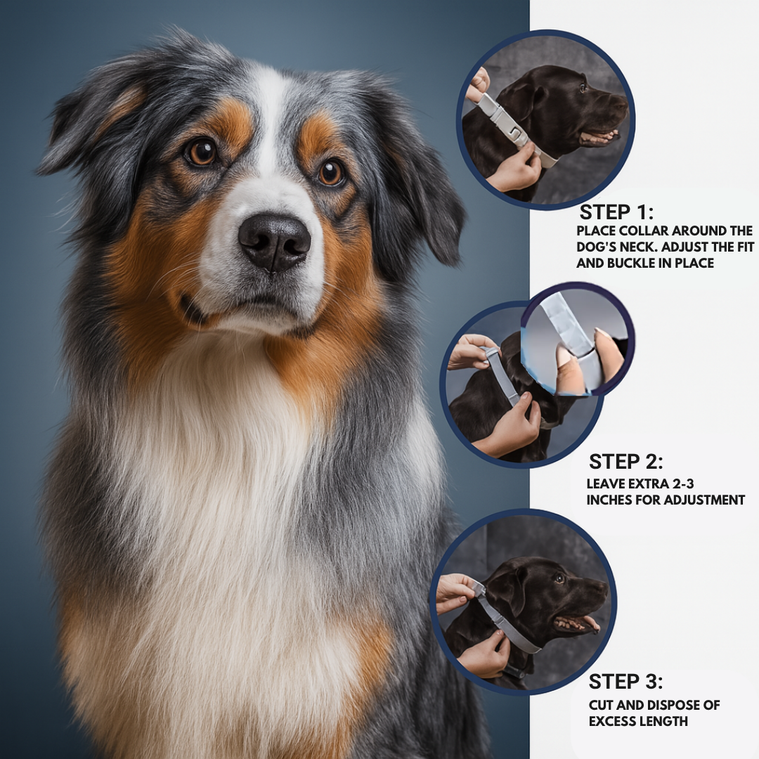 Marlinko Pets™ - Natural Protection (8 Months Tick and Flea Collar for Dogs)