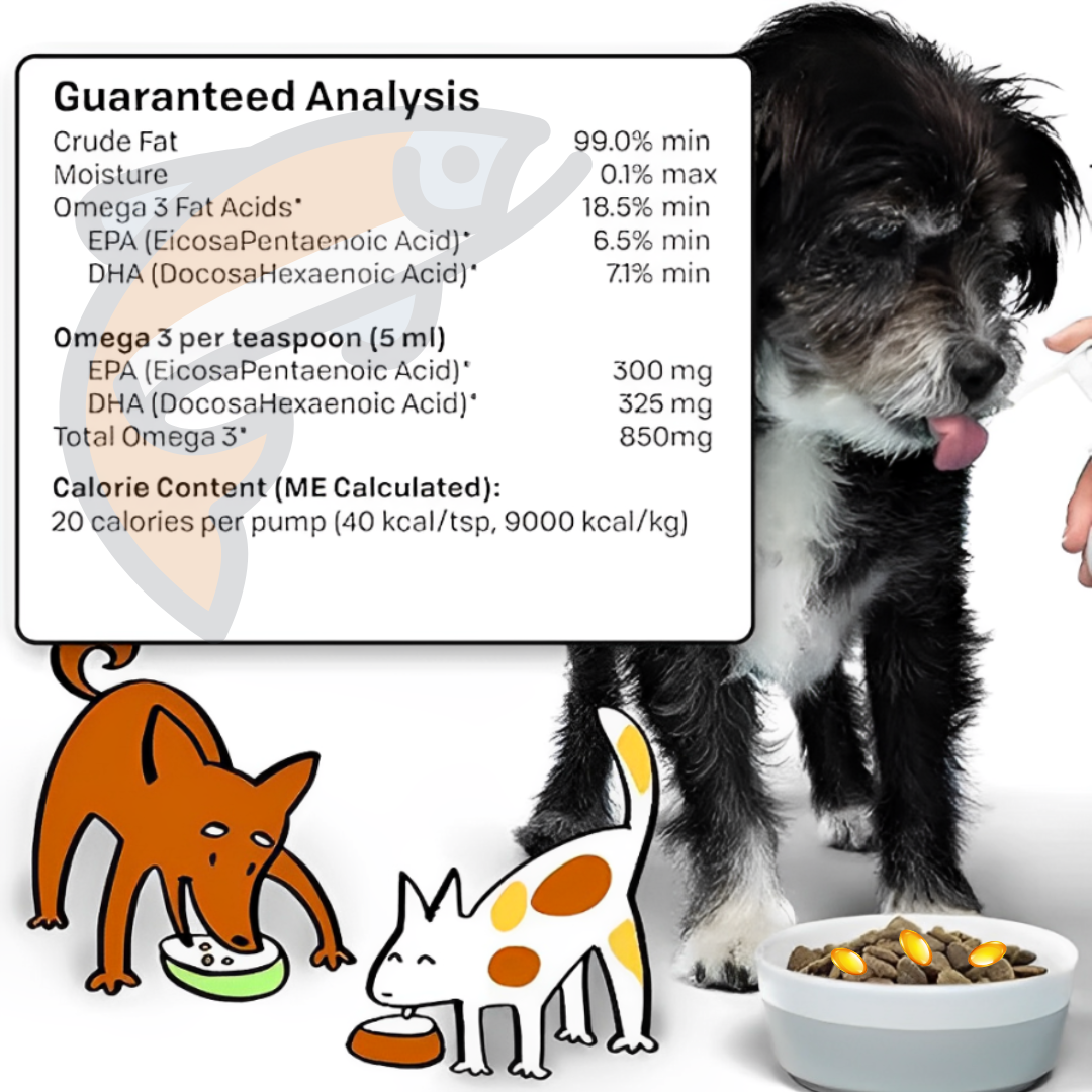 Pure Omega 3 Salmon Oil | Joint - Coat - Digestion