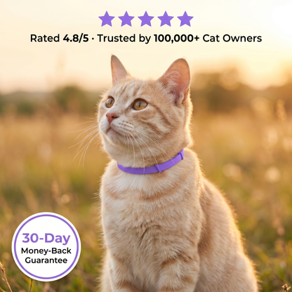 Marlinko Pets™ - All Natural Calming Cat Collar (8 Months Tick & Flea Free)