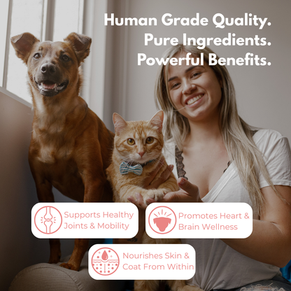 Pure Omega 3 Salmon Oil | Joint - Coat - Digestion
