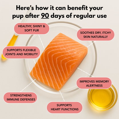 Pure Omega 3 Salmon Oil | Joint - Coat - Digestion